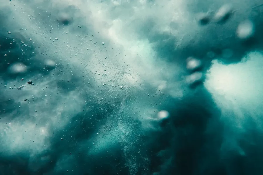 le plasma marin de Quinton en histoire