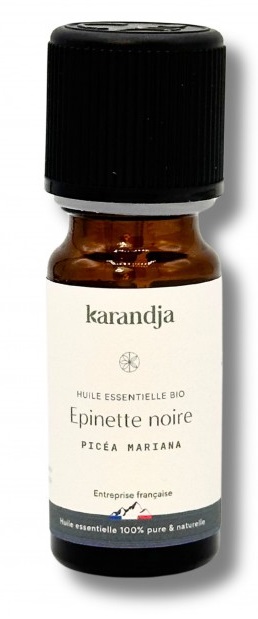 HE épinette noire épinette noire