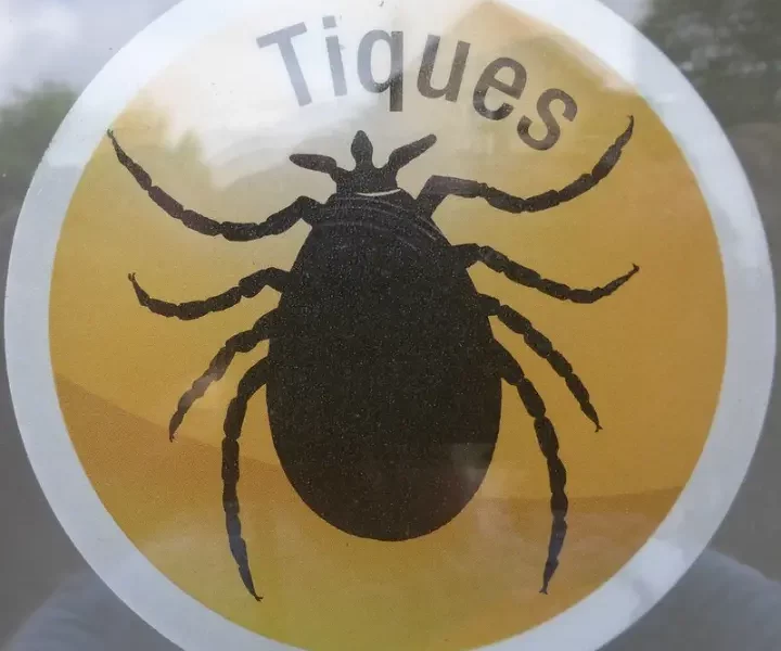 huiles essentielles contre les tiques