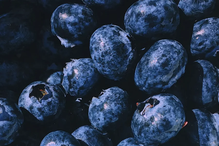 les meilleurs antioxydants