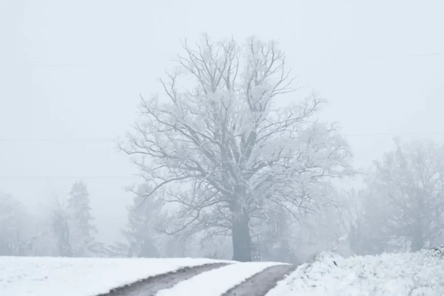 le froid