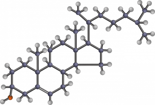 structure du cholestérol