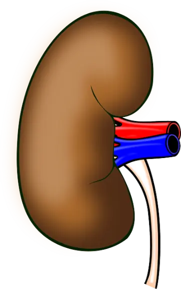 émonctoires