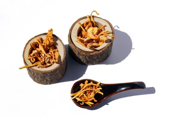 le cordyceps