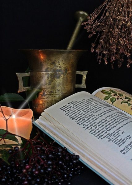 écoles de naturopathie